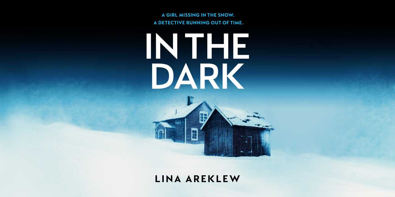 Cover of In the Dark