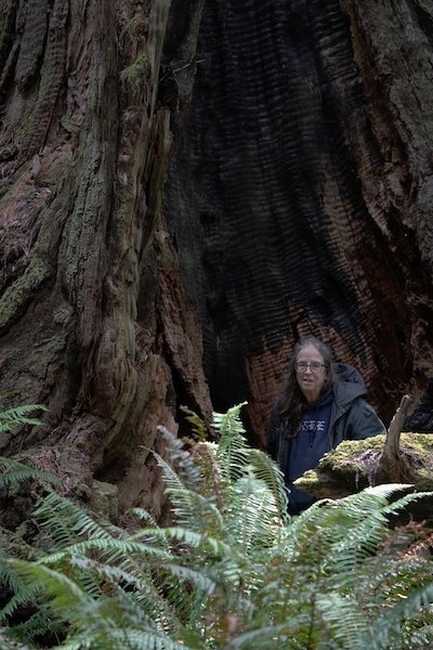 Portrait of Cecelia Holland