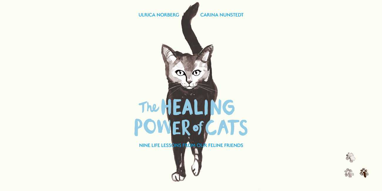 The Healing Power of Cats