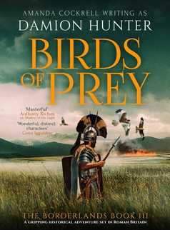 Birds of Prey by Damion Hunter