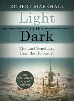 Light in the Dark by Robert Marshall