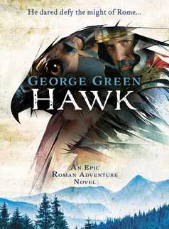 Hawk by George Green