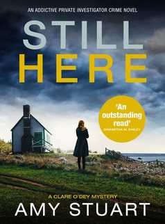 Still Here by Amy Stuart