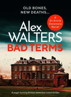 Bad Terms by Alex Walters
