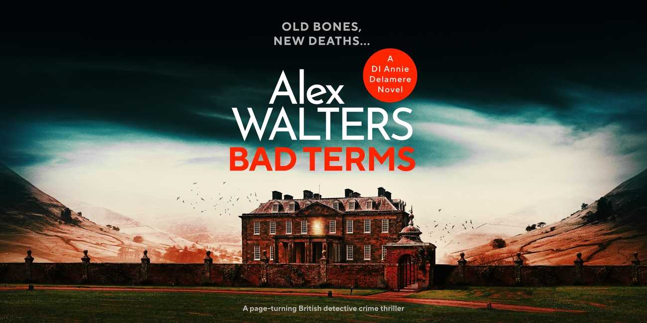 Cover of Bad Terms