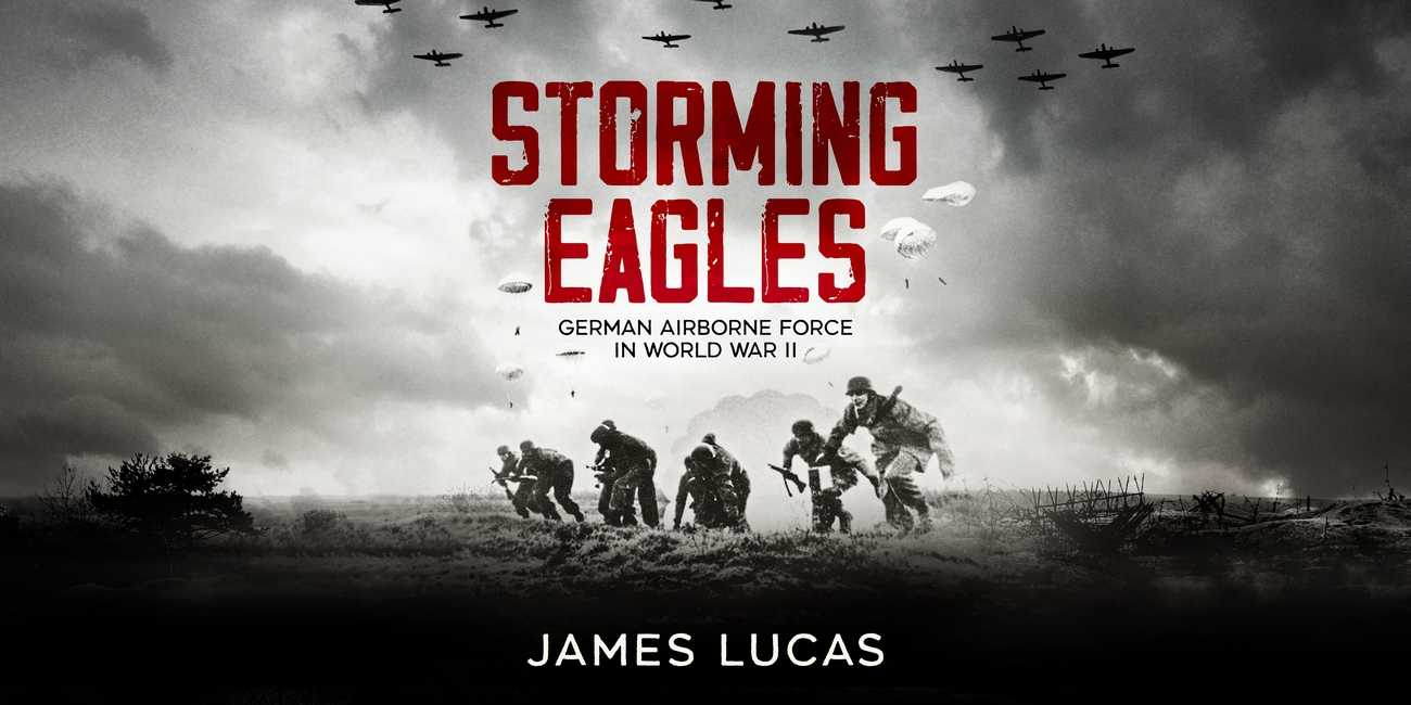 Cover of Storming Eagles